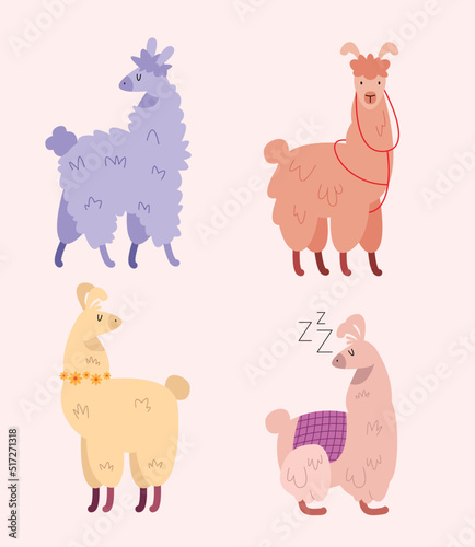 four llamas animals