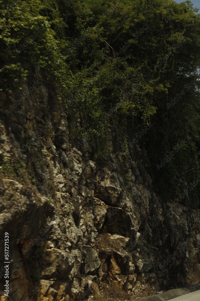 carretera junto  peñasco montañoso con árboles