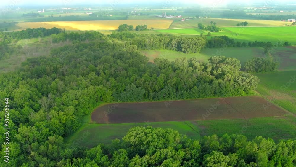 Beautiful rural wooded land for farming and hunting, aerial view.
