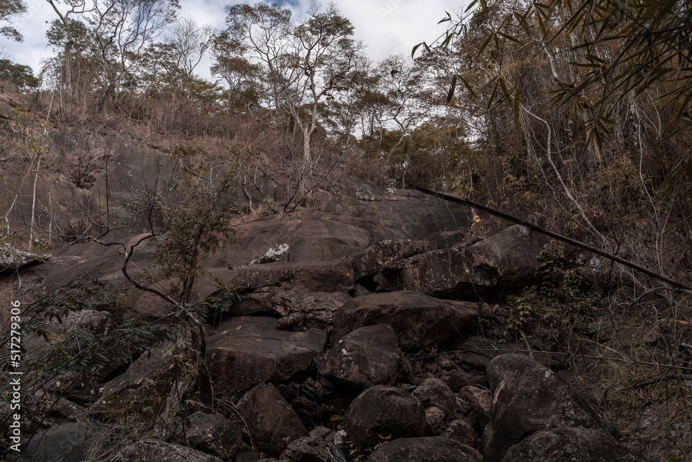 Brazilian landscape with a rocky waterfall and trees Brazilian landscape with a rocky waterfall and trees