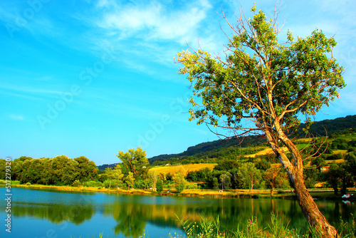 Canvas Print Magical scene from the park I Due Laghi in Piane di Moresco with a curvy tree