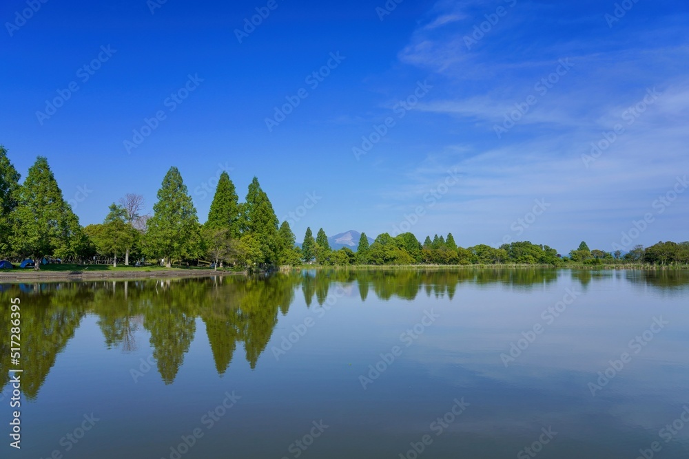 Fototapeta premium 新緑に包まれた公園から見る伊吹山の情景＠滋賀