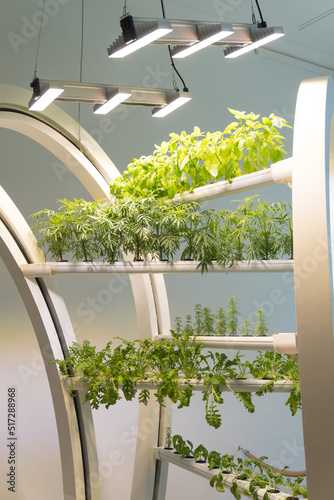 automatic experimental garden lighting plants future agriculture