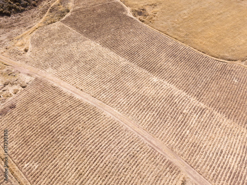 Aerial view of rural landscape in Cusco Peru. Peruvian agriculture fields during dry season in high Andes.