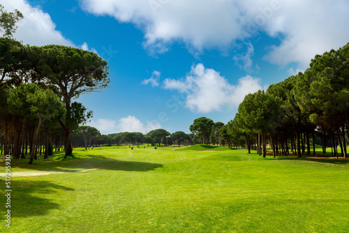 Panoramic view of beautiful golf course with pines on sunny day. Golf field with fairway, lake and pine-trees © SDF_QWE