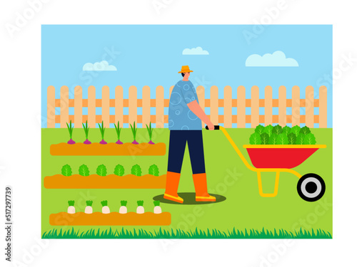 Farmer harvesting vegetables in his garden. Wheelbarrow full of vegetables. Farmers growing carrots, onions and vegetables. Farmer work. Farm vector illustration.	
