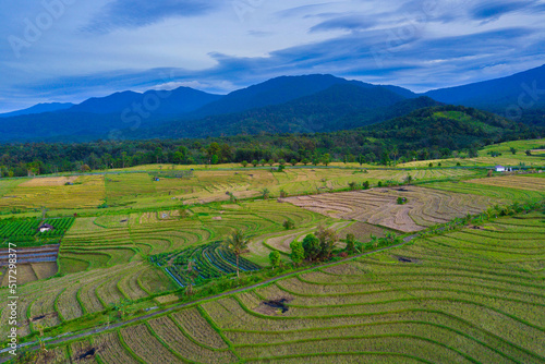 aerial photography of natural panorama of Indonesia  vast rice fields with mountains