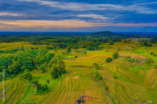 Aerial photo of natural panorama of Indonesia, morning view in beautiful rice fields