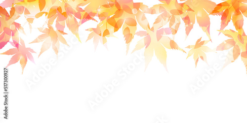 紅葉　もみじ　秋　背景