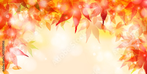 紅葉　もみじ　秋　背景 © KUU