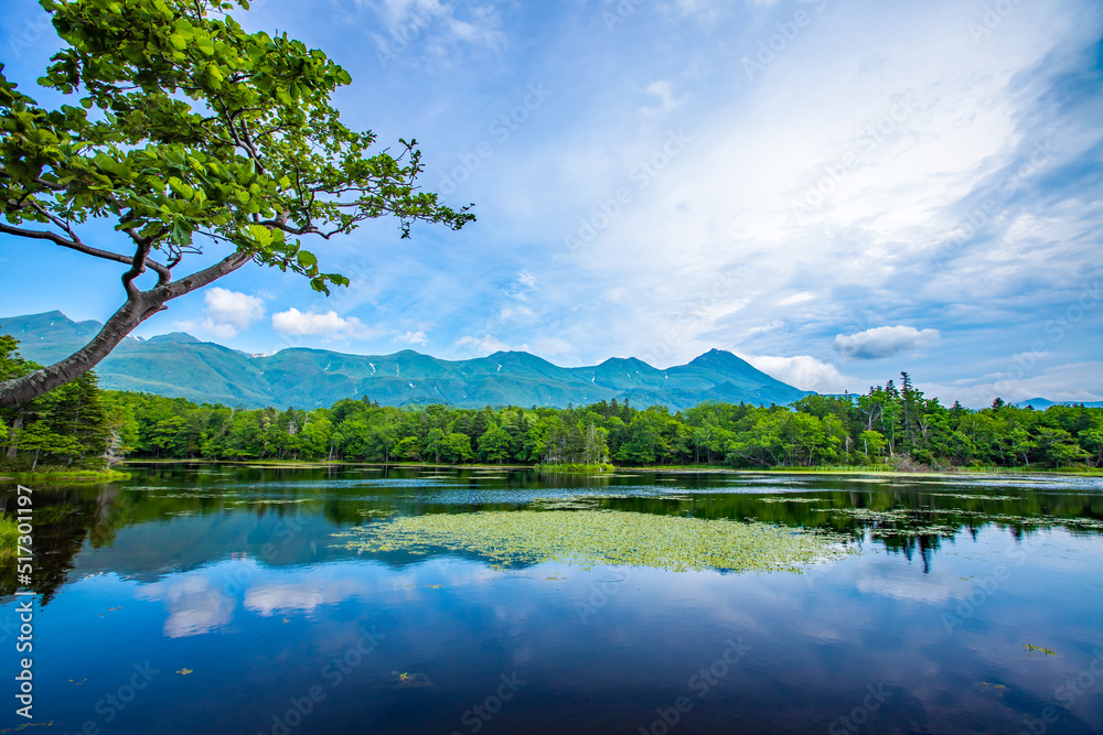 北海道　知床五湖ガイドウォーク