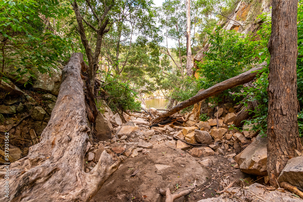 Natural Australian bush landscape in Queensland, Australia. Taken at Crows Nest Falls. Natural Australian bush landscape in Queensland, Australia. Taken at Crows Nest Falls.