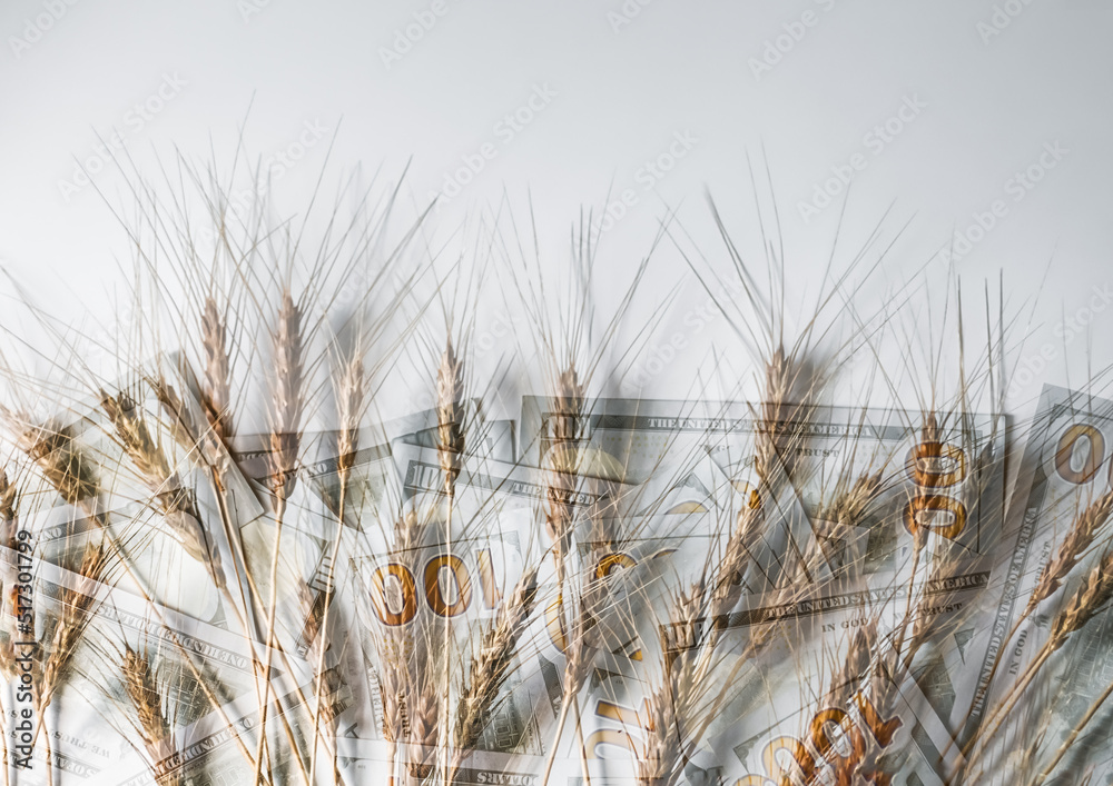 Fototapeta premium Ears on the background of dollar bills. Multiple exposure, selective focus. The concept of the global economic crisis.