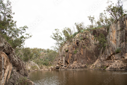 Natural Australian bush landscape in Queensland, Australia. Taken at Crows Nest Falls.