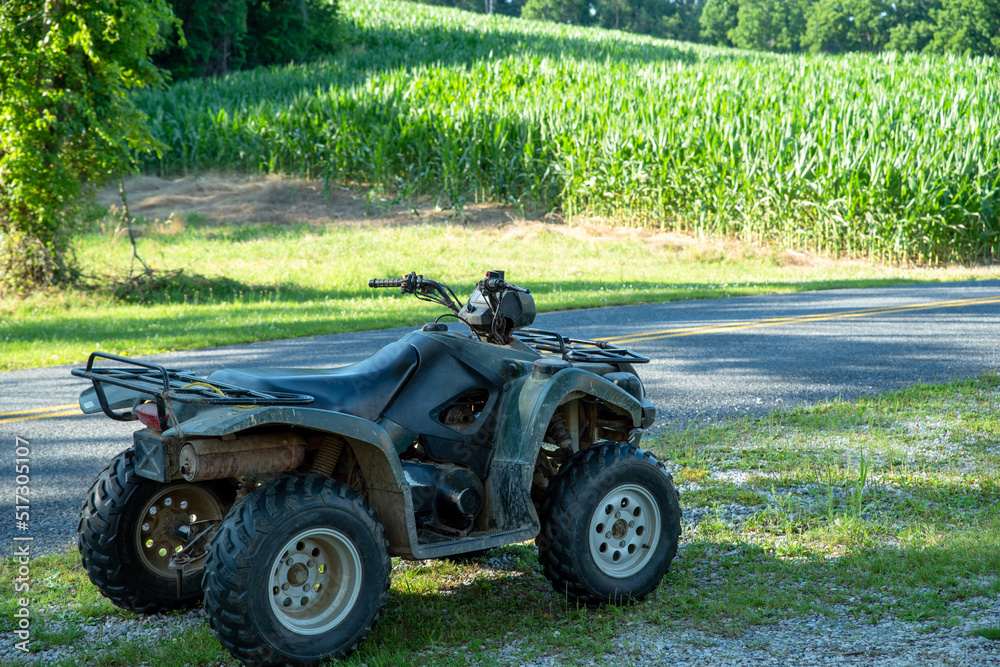 Fototapeta premium Green off-road vehicle in foreground with sunny agricultural cornfield and woods beyond with no people and copy space.