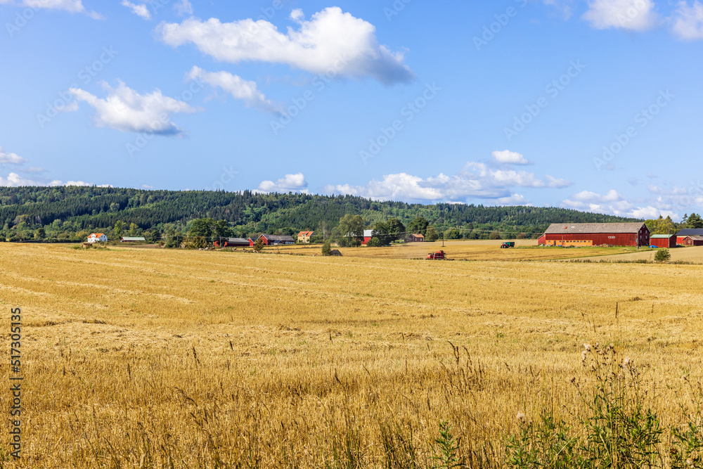 Rural landscape view with fields and farms