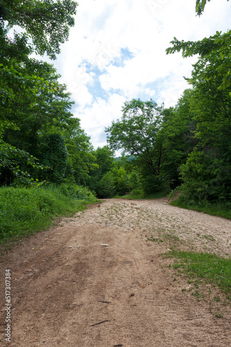 Roads for the movement of vehicles with various types of coatings-hard and unpaved roadways.