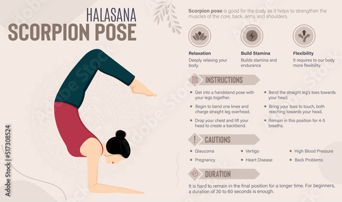 Scorpion Pose Guide and benefits: Yoga poses vector illustration