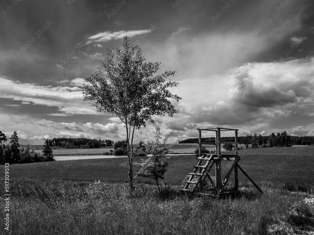 Landscape with Trees, Fields and Raised Perch in Western Bohemia near Malkovice, Czech Republic in Monochrome Black and White - obrazy, fototapety, plakaty 