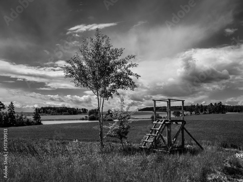 Landscape with Trees, Fields and Raised Perch in Western Bohemia near Malkovice, Czech Republic in Monochrome Black and White