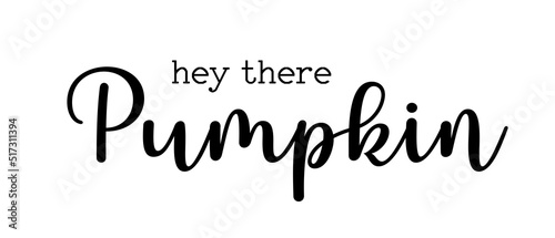 Hey there Pumpkin. Modern black ink calligraphy lettering. Fall welcoming quote. Cute sweet phrase for autumn season greeting. Print, poster vector design isolated on white background