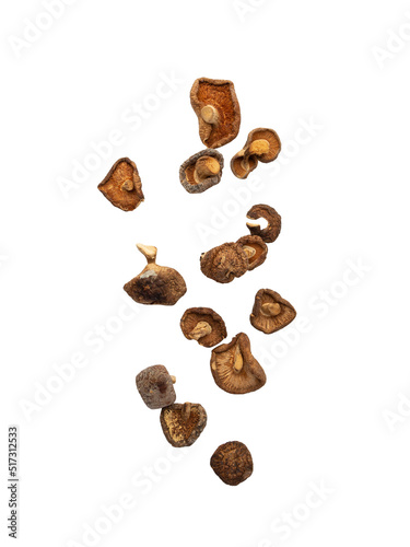 Falling shiitake mushroom isolated on white background with clipping path.
