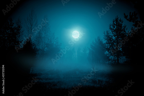 Spooky night foggy forest under the night sky with a full moon in cold blue tones. Halloween backdrop.