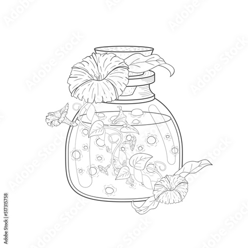 A glass bottle with a potion decorated with flowers and leaves. The linear style is isolated on a white background.
