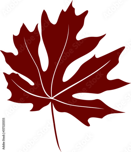  Vector of the autumn Leave