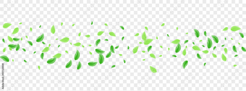 Light Green Sheet Background Transparent Vector. Foliage Agriculture Frame. Spring Texture. Green Herbal Design. Leaves Peaceful. Light Green Sheet Background Transparent Vector. Foliage Agriculture Frame. Spring Texture. Green Herbal Design. Leaves Peaceful.