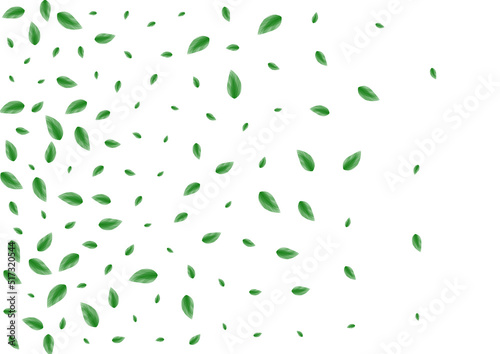 Light Green Foliage Background White Vector. Leaves Simple Frame. Ecology Card. Green Element Illustration. Leaf Border.