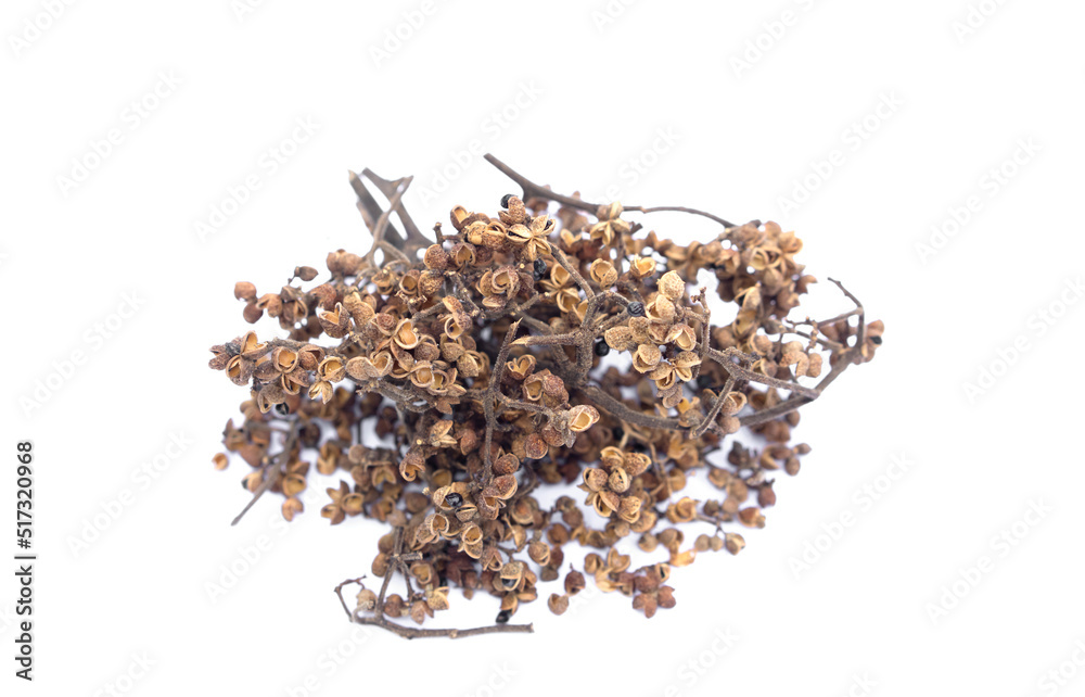 Dried spice herbs, Zanthozylum limonella Alston, isolated on white background. Concept : food ingredient for seasoning Thai local northern food. Spicy taste, unique fragrance, add to flavor food. Dried spice herbs, Zanthozylum limonella Alston, isolated on white background. Concept : food ingredient for seasoning Thai local northern food. Spicy taste, unique fragrance, add to flavor food.