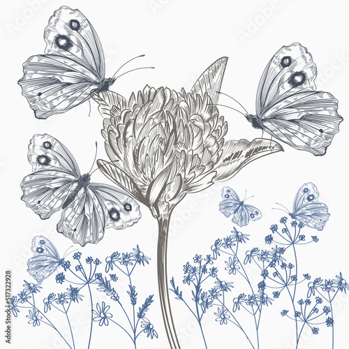 Hand drawn vector clover illustration with butterflies
