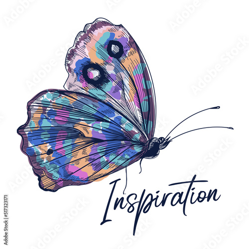 Butterfly fashion vector illustration hand drawn style, inspiration