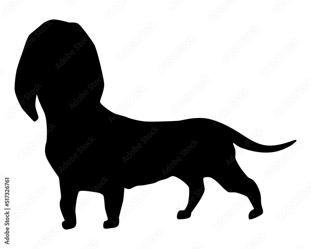 Dog silhouette, dachshund breed. Side view pet stand icon in black color. Make used for dog show, competition, pet store, guide dog, veterinary. Domestic animal isolated on white background