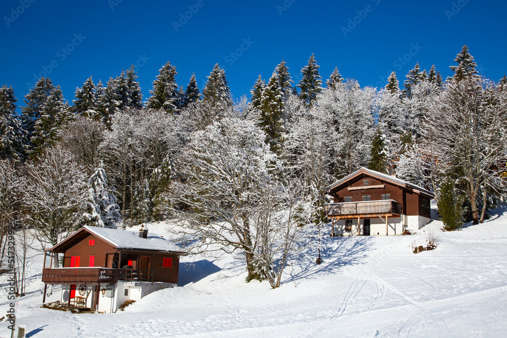 Winter in alps