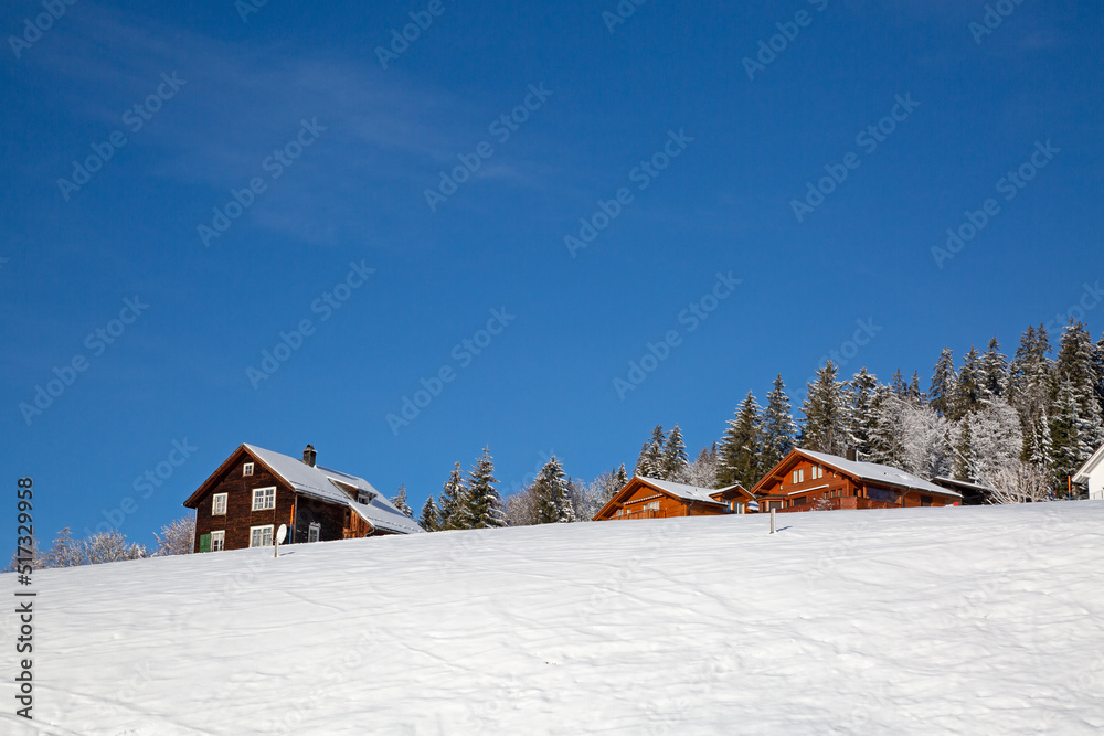 Naklejka premium Winter in alps