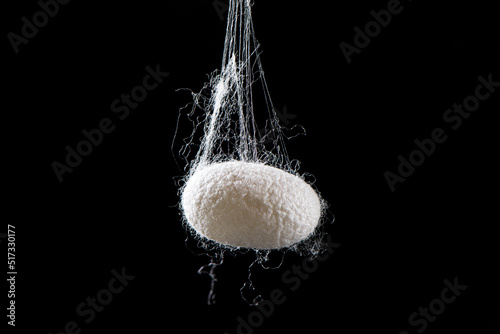 Natural silkworm cocoons isolated on black background