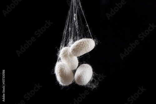 Natural silkworm cocoons isolated on black background photo