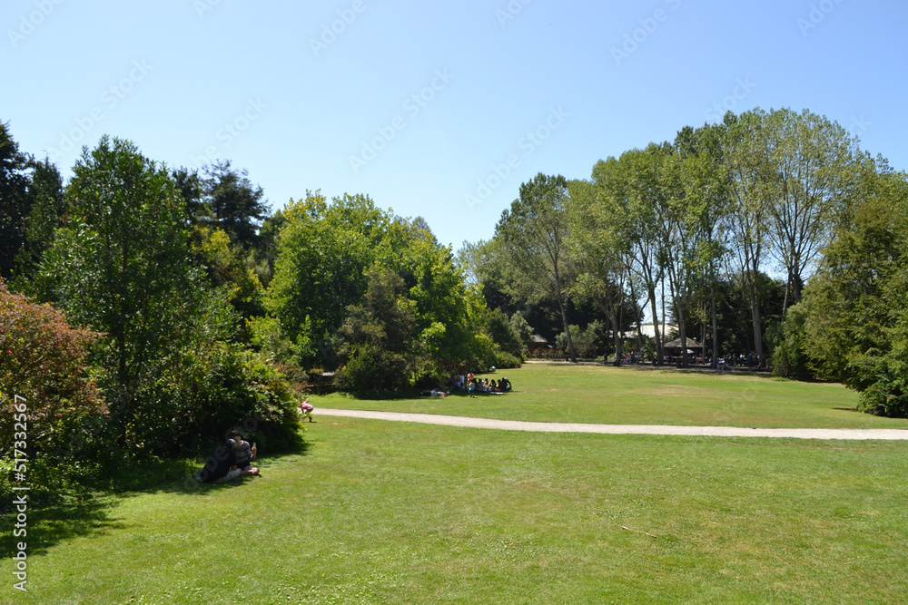 park in the bio bio region in southern Chile park in the bio bio region in southern Chile