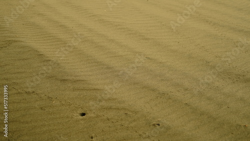 Sand texture background