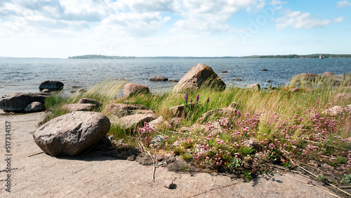 Åland archipelago. Summer landscape with wild bushes on bay.