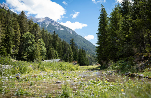 Idyllic landscape in the alps with stream  cows  fires and mountains