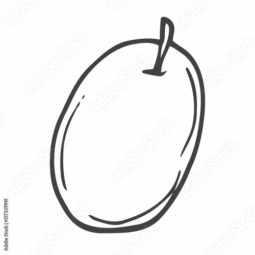 Hand drawn plum. Illustration doodle eps 10 vector.