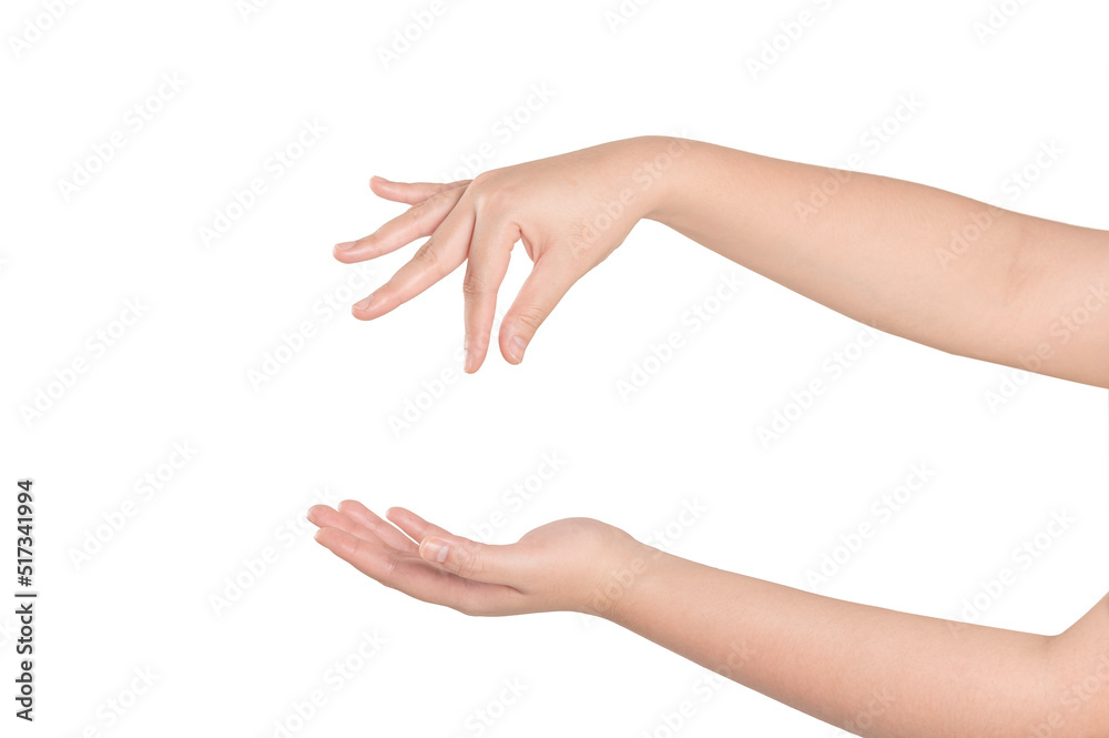 Woman hands gesturing isolated on white background