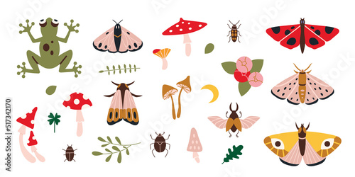 Forest items set, butterflies, mushrooms, plants, cartoon style. Cottagecore, goblincore aesthetics. Trendy modern vector illustration, hand drawn © WinWinFolly