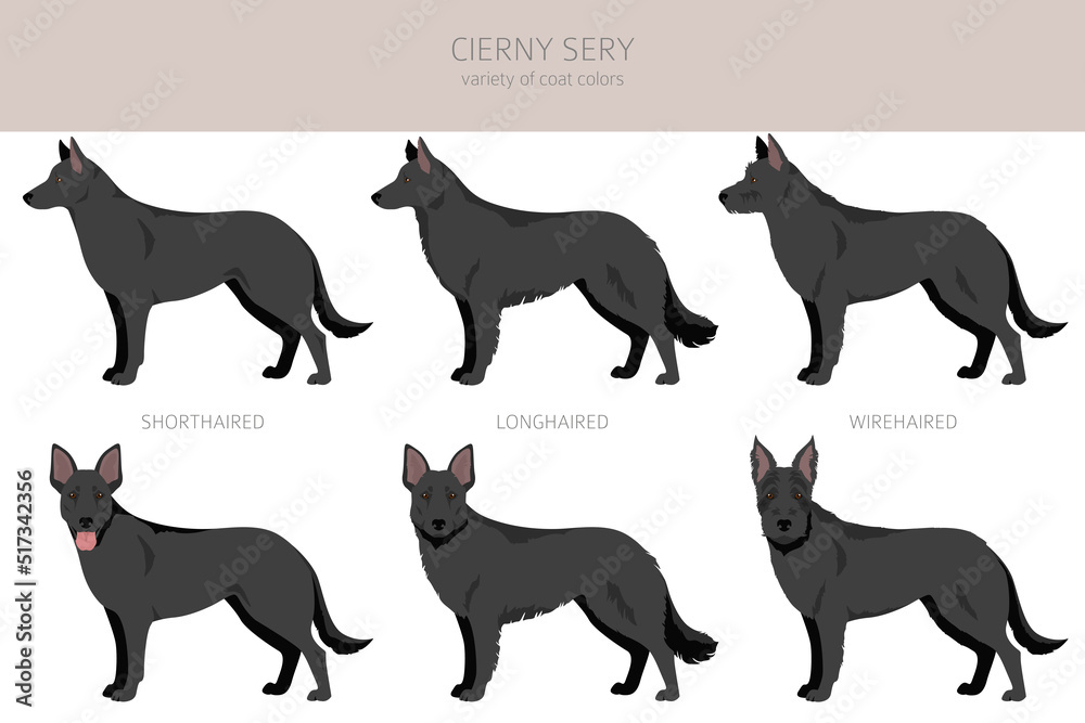 Cierny Sery clipart. Different poses, coat colors set