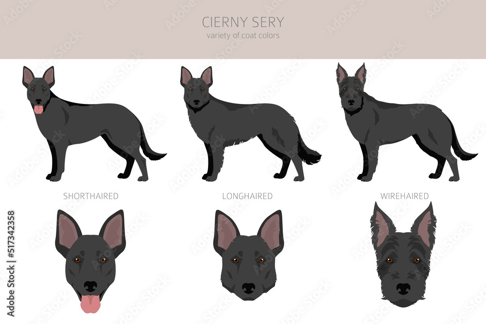 Cierny Sery clipart. Different poses, coat colors set