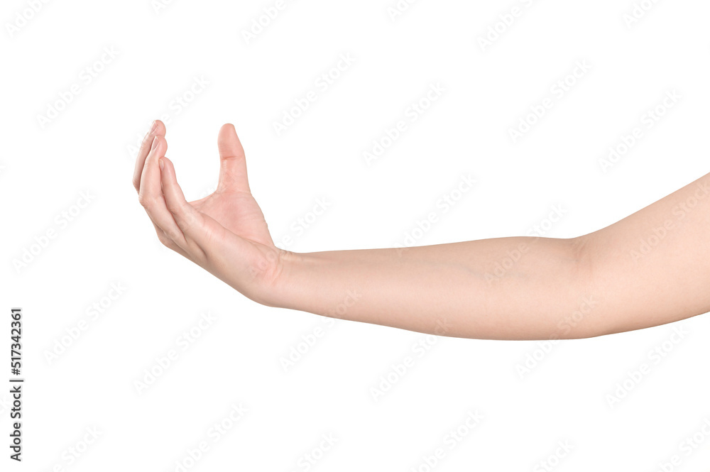 Woman hand showing something on white background
Woman hand showing something on white background