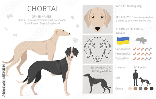 Chortai clipart. Different poses, coat colors set